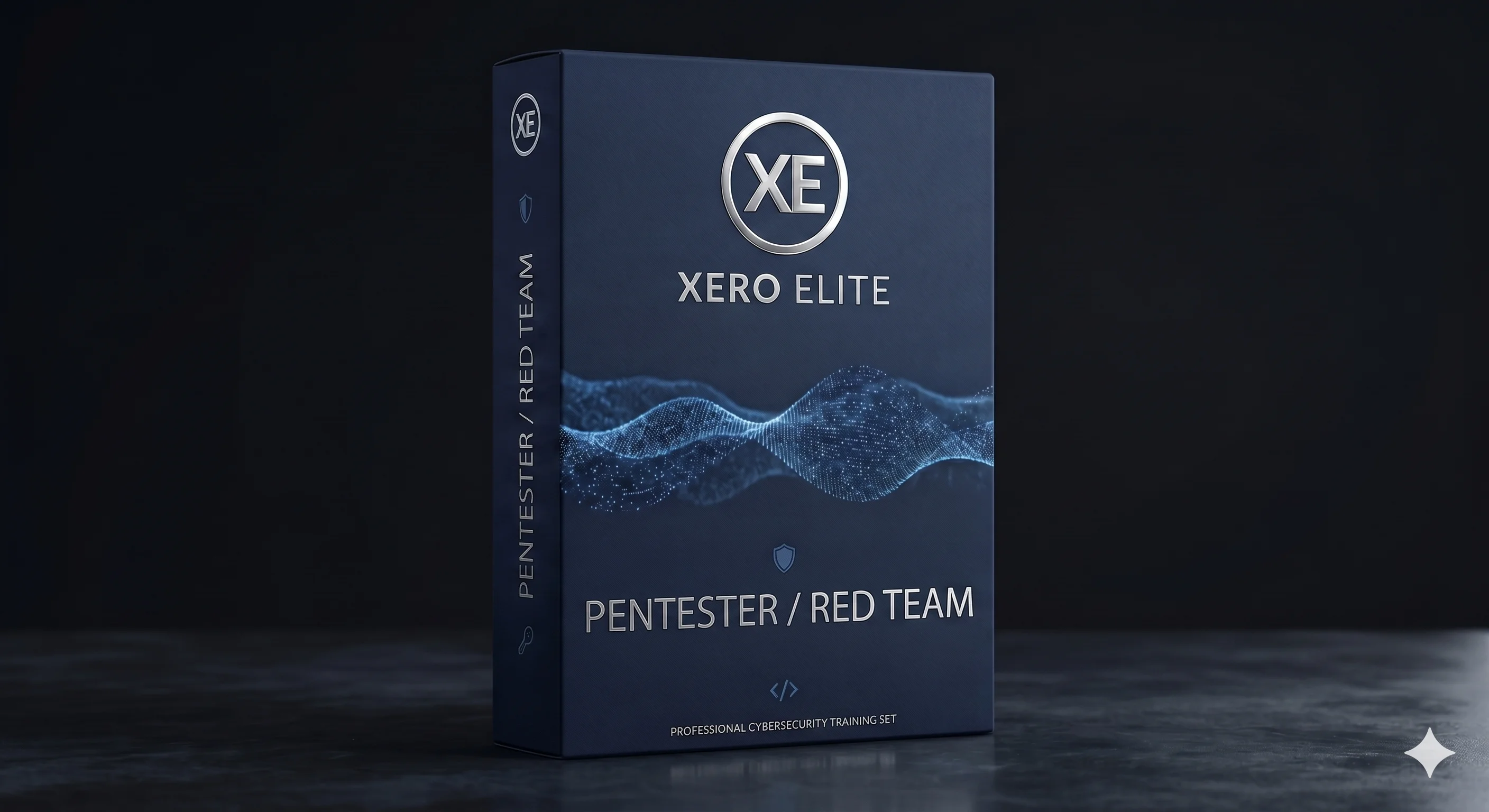 Pentester & Red Teamer