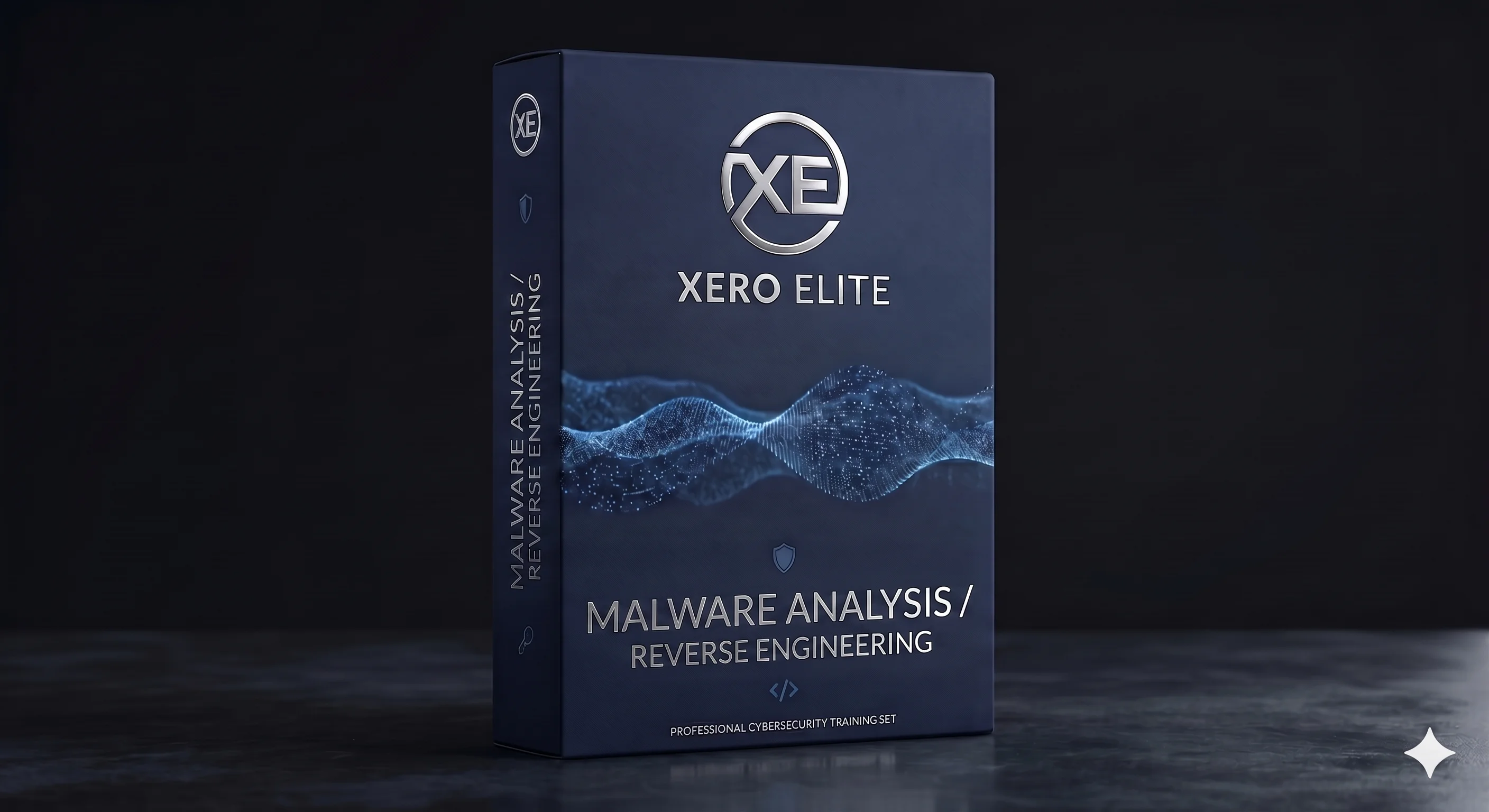 Malware Analyst